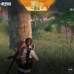 和平精英辅助软件怎么用？有哪些实用技巧？